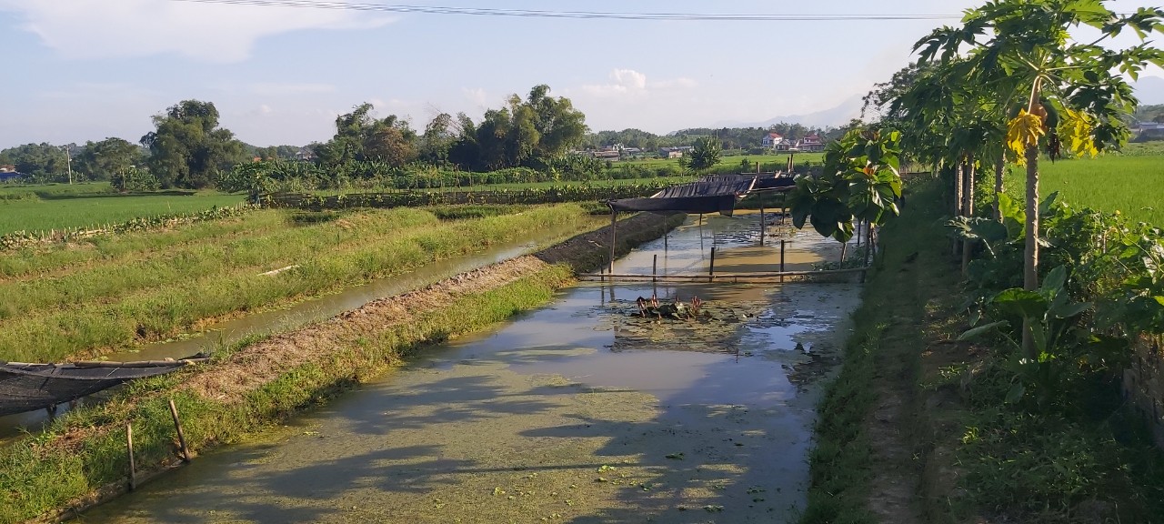 Nuôi ốc nhồi la liệt trong ruộng lúa, vốc lên toàn con béo múp, Chủ tịch điển trai kéo cả xã miền núi làm giàu - Ảnh 4.