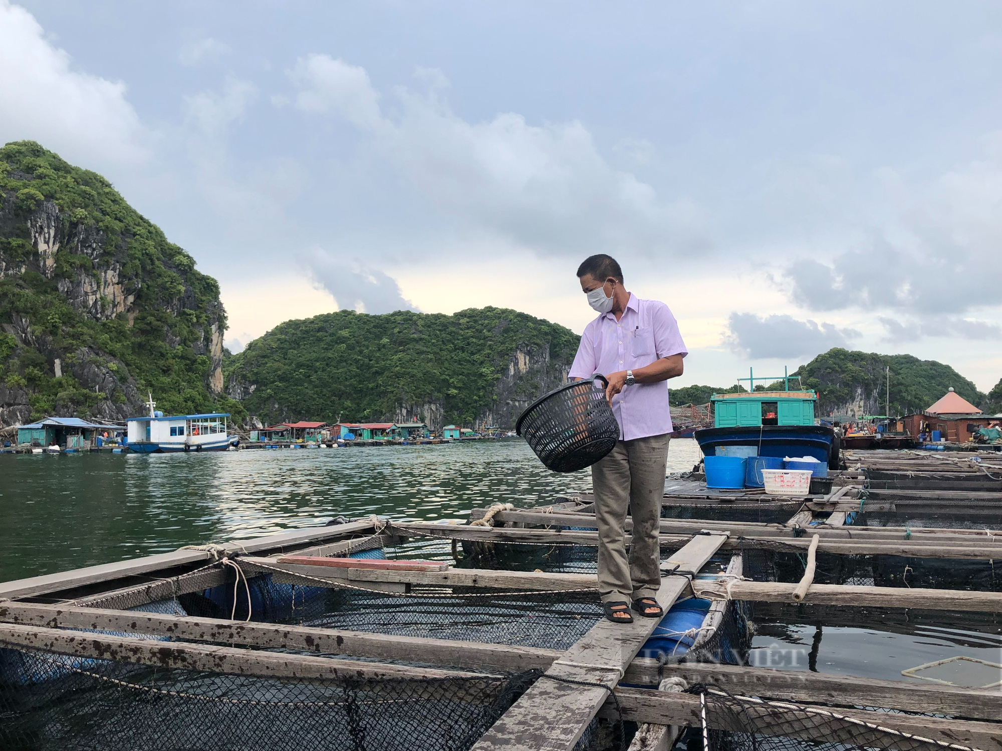 Hải Phòng: 40 chủ hộ nuôi trồng thủy sản tại Cát Hải cam kết tháo dỡ lồng bè  - Ảnh 4.