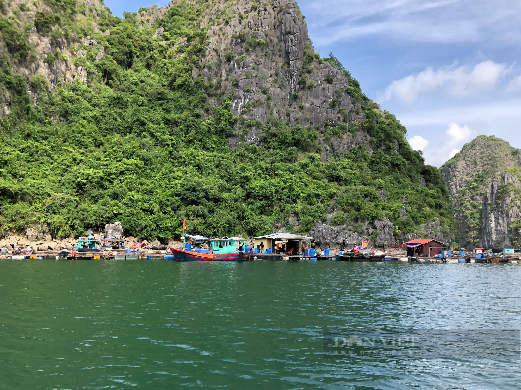 Hải Phòng: 40 chủ hộ nuôi trồng thủy sản tại Cát Hải cam kết tháo dỡ lồng bè  - Ảnh 7.