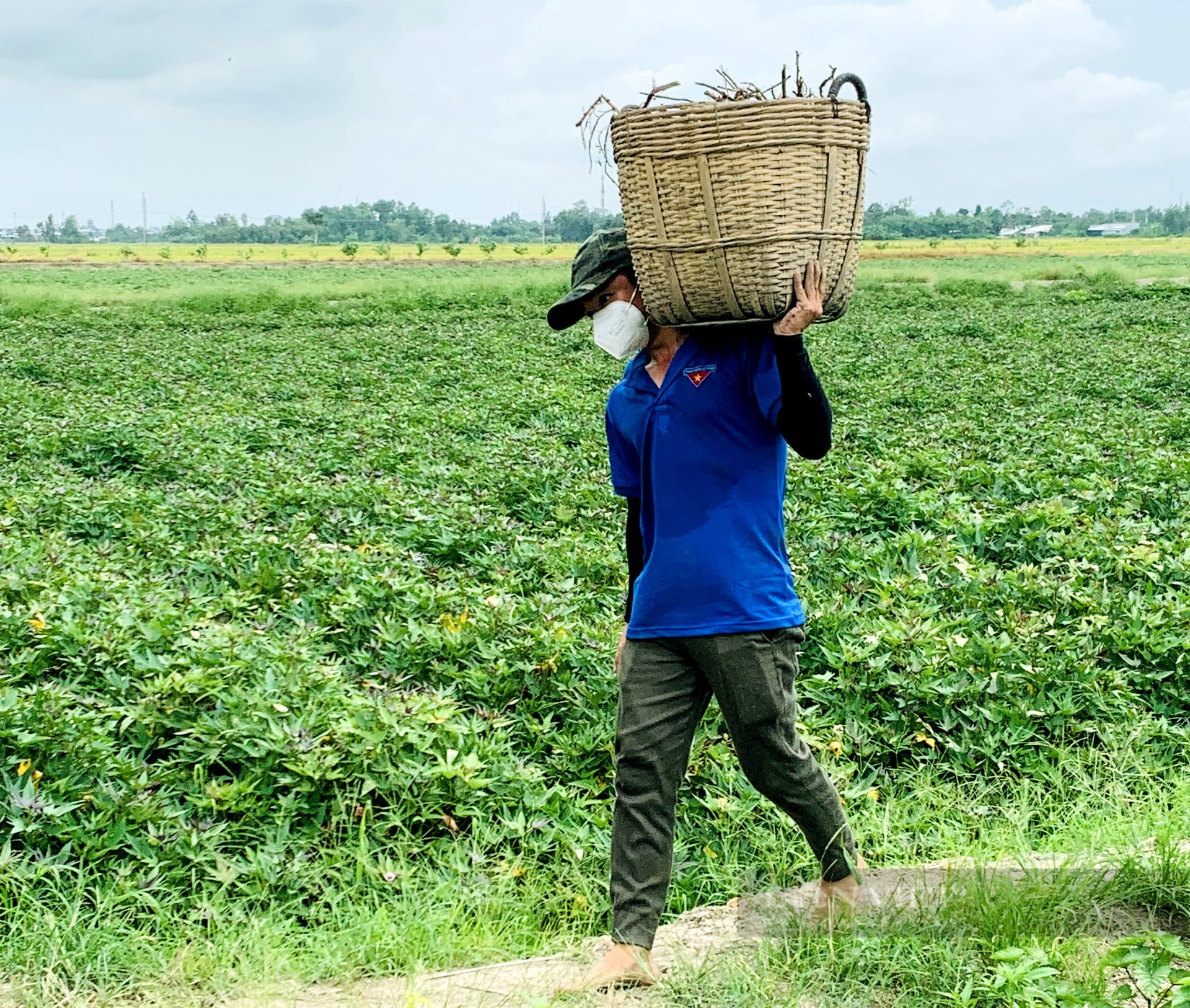 Kiên Giang: Áo xanh tình nguyện xuống đồng - ra phố giúp nông dân tiêu thụ nông sản - Ảnh 3.