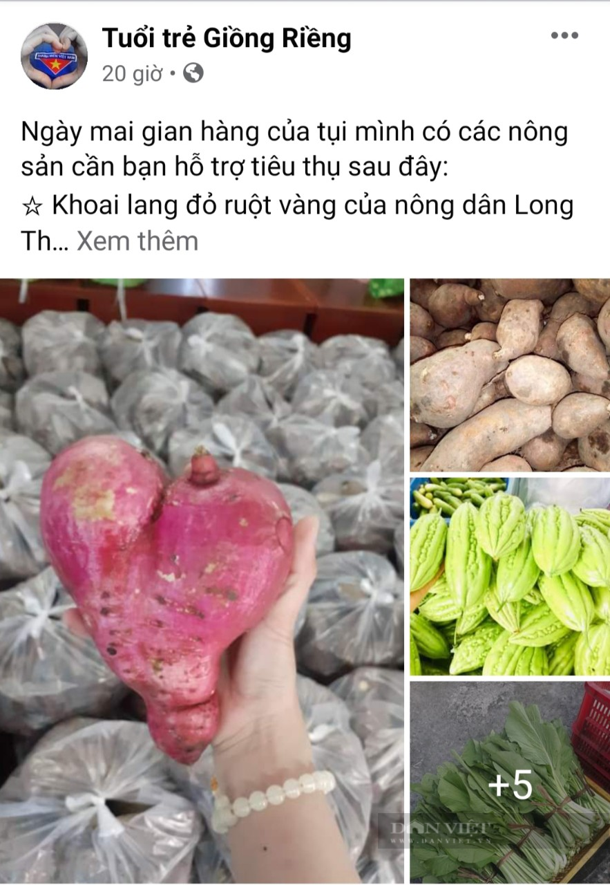 Kiên Giang: Áo xanh tình nguyện xuống đồng - ra phố giúp nông dân tiêu thụ nông sản - Ảnh 12.