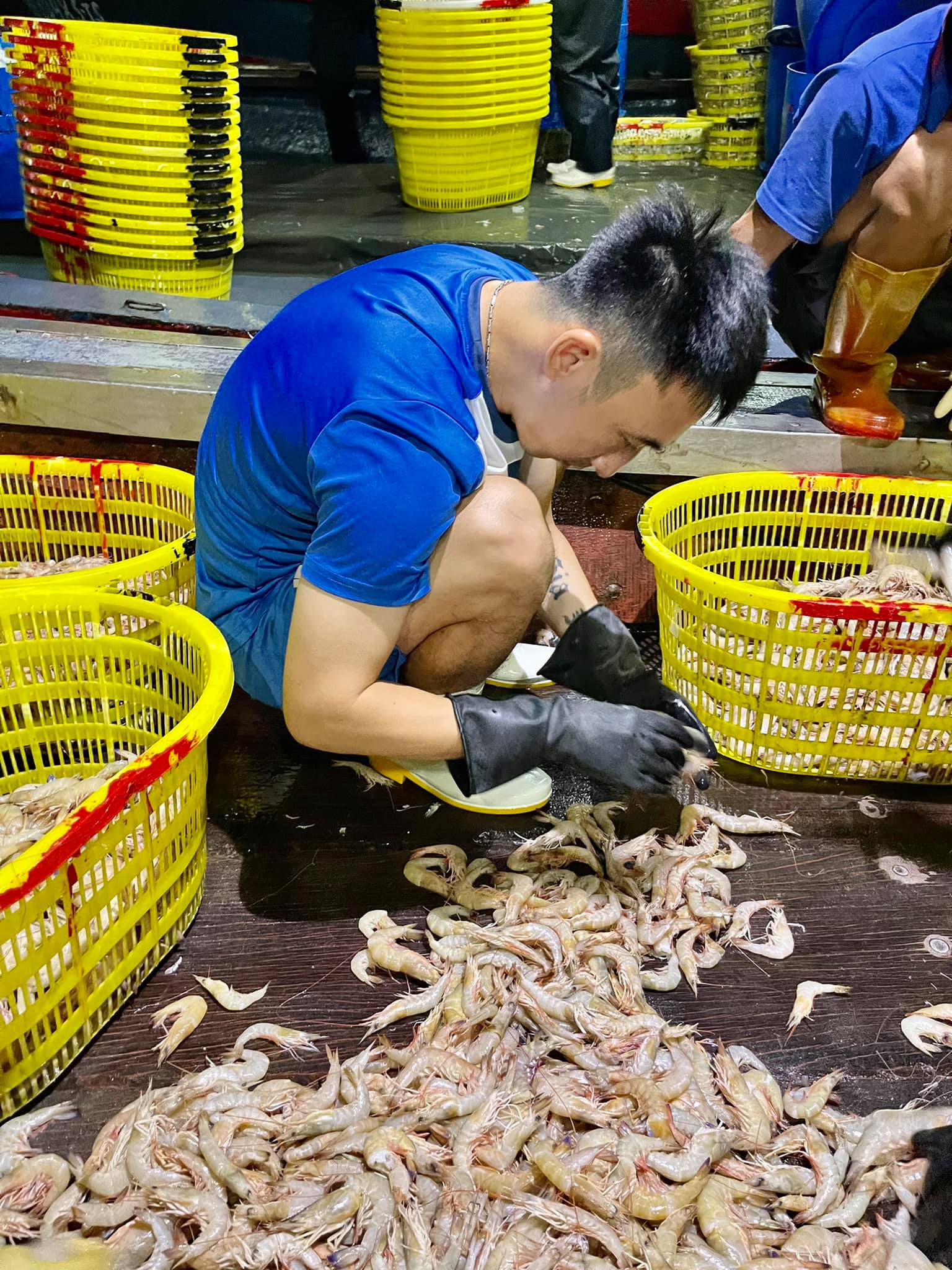 &quot;Chủ tịch Phạm Thanh Hùng đi trên hành trình cô độc ở Than Quảng Ninh&quot; - Ảnh 2.