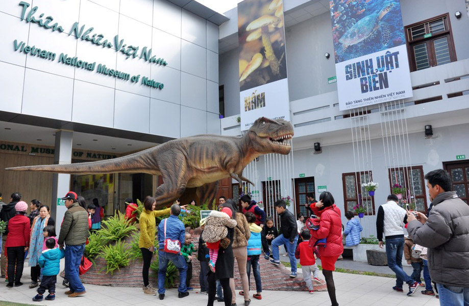 Hà Nội: Sẽ xây dựng Bảo tàng Thiên nhiên Việt Nam quy mô hơn 38 ha - Ảnh 1.