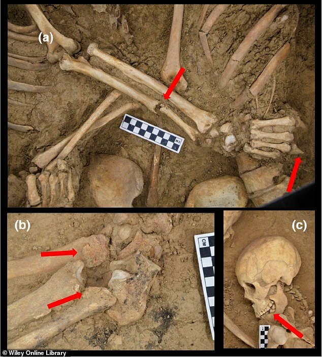 Bí ẩn người đàn ông bị mất một ngón tay, chôn cùng người phụ nữ trong ngôi mộ cổ - Ảnh 2.