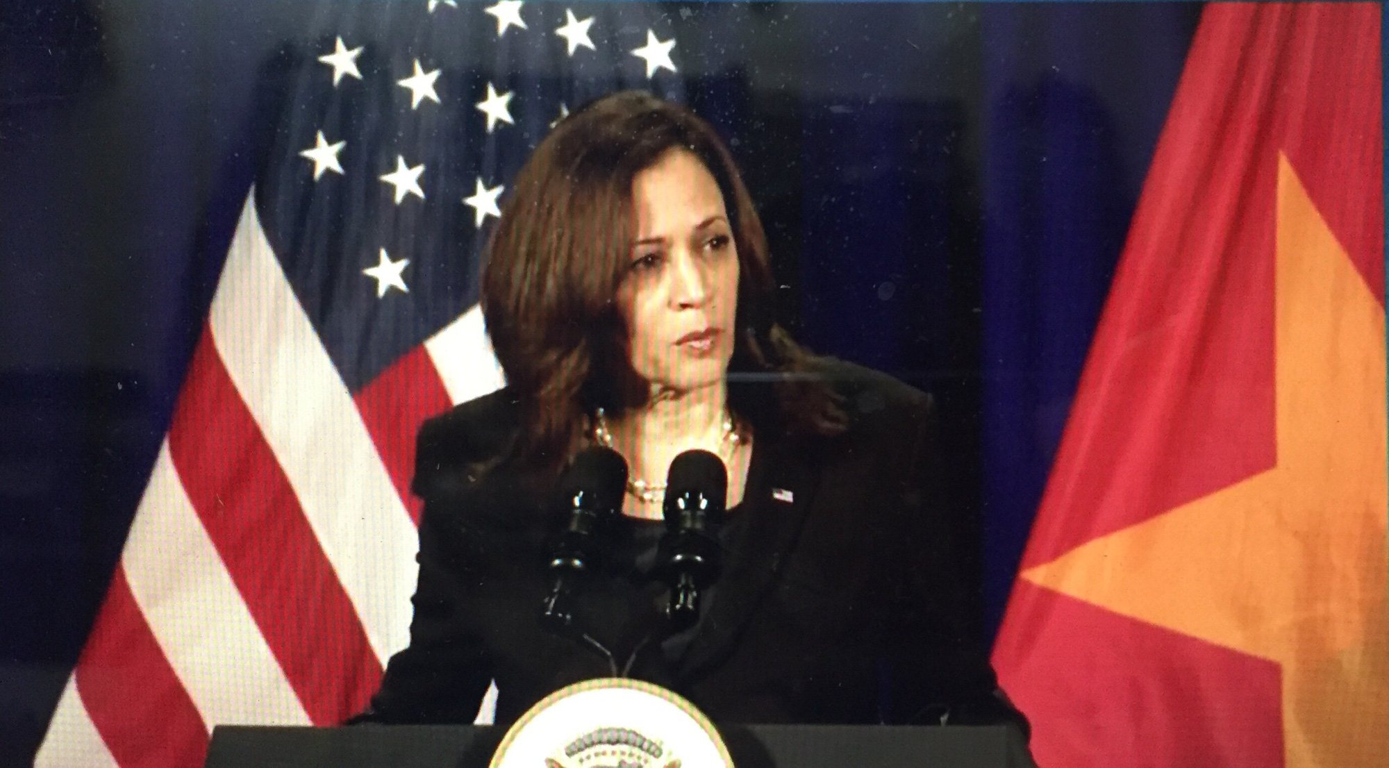 Phó Tổng thống Kamala Harris: Mỹ muốn hợp tác với Việt Nam theo cách chiến lược - Ảnh 1.