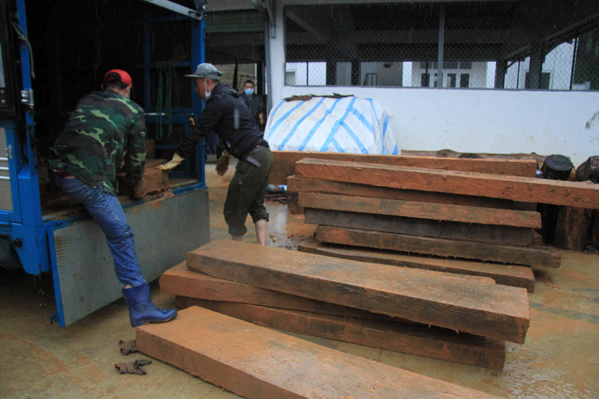 Lâm Đồng: Liên tiếp phát hiện tàng trữ, vận chuyển gỗ dổi trái phép - Ảnh 1.