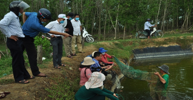 Quảng Ngãi: Lạ mà hay, nuôi ghép tôm - cua- cá trong ao, nhưng cho hiệu quả kinh tế cao - Ảnh 1.