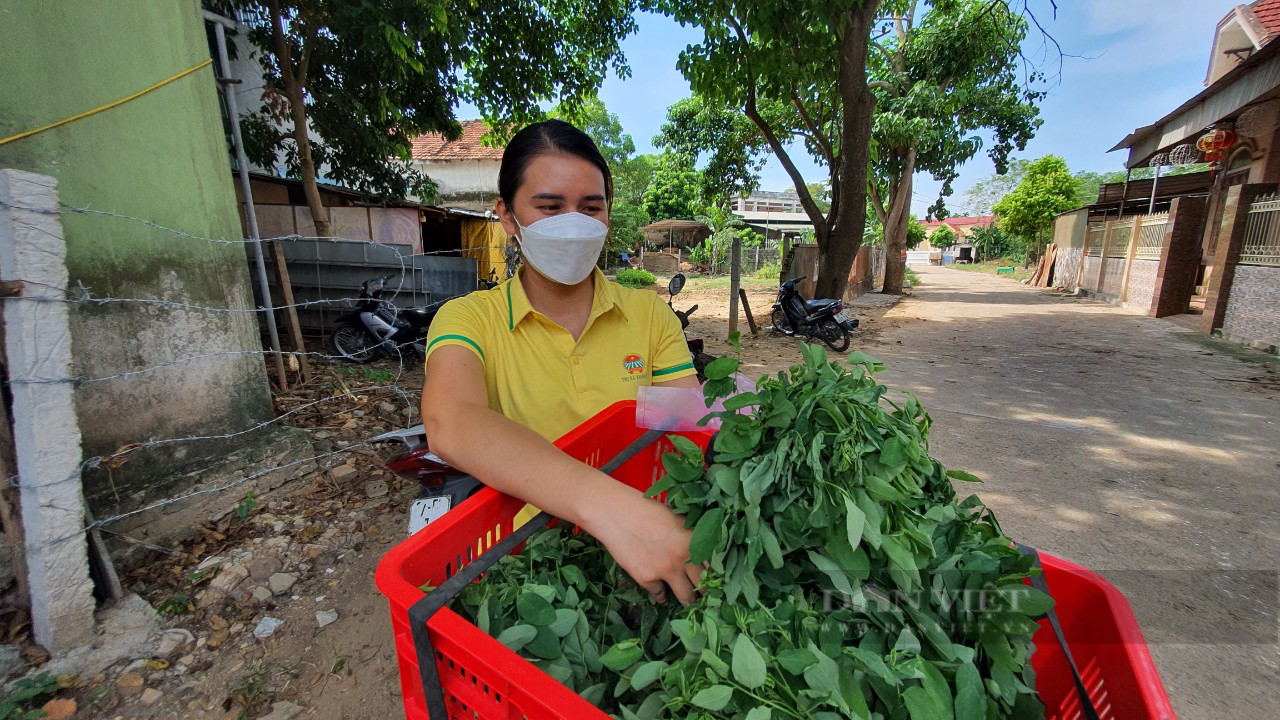 Nghệ An: Những “Bông lúa vàng” đi chợ hộ giúp dân - Ảnh 3.