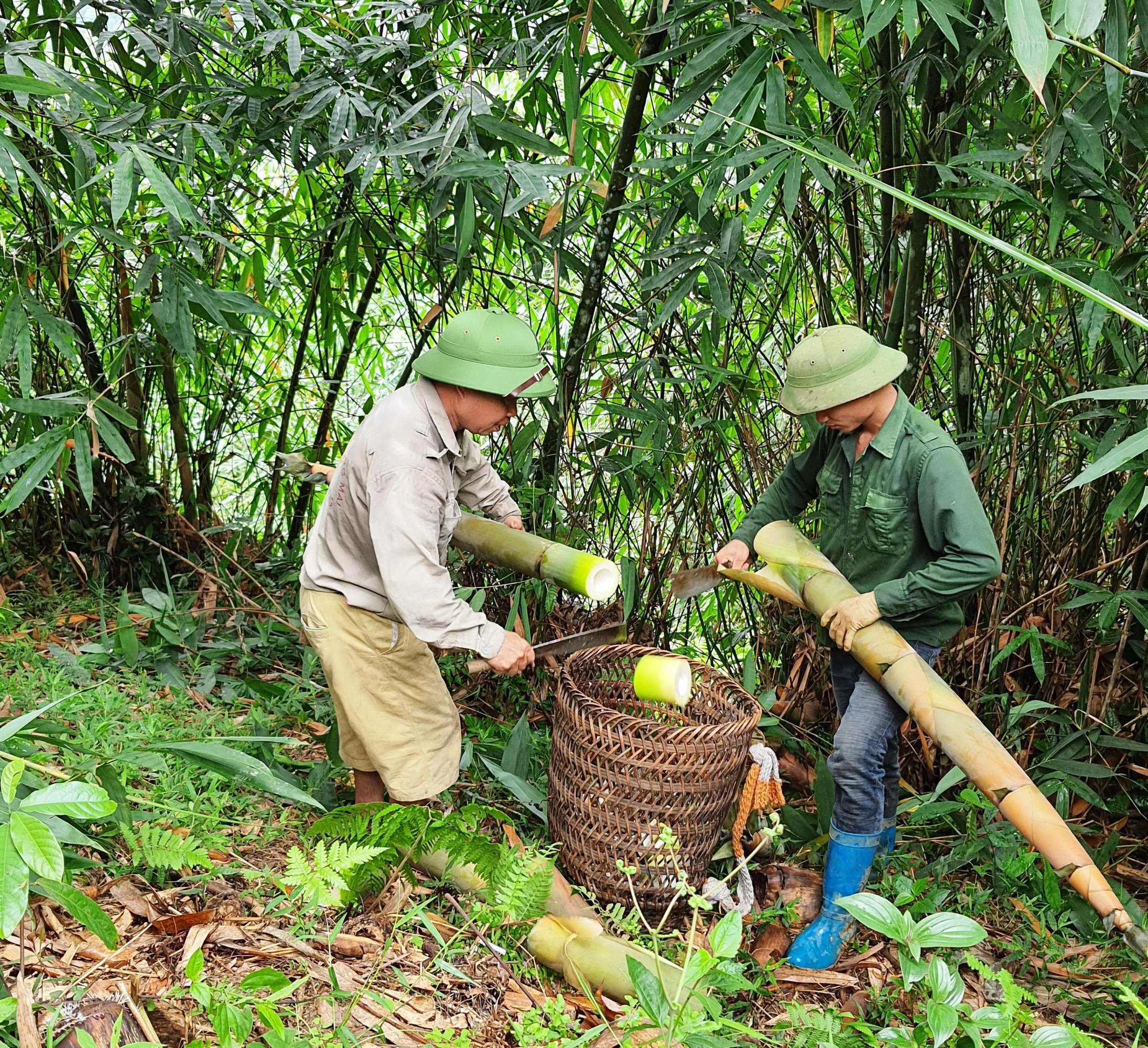 Hải Dương: Trồng cây lấy củ, đào lên bán ngay, nông dân thu 200 triệu đồng/ha - Ảnh 1.