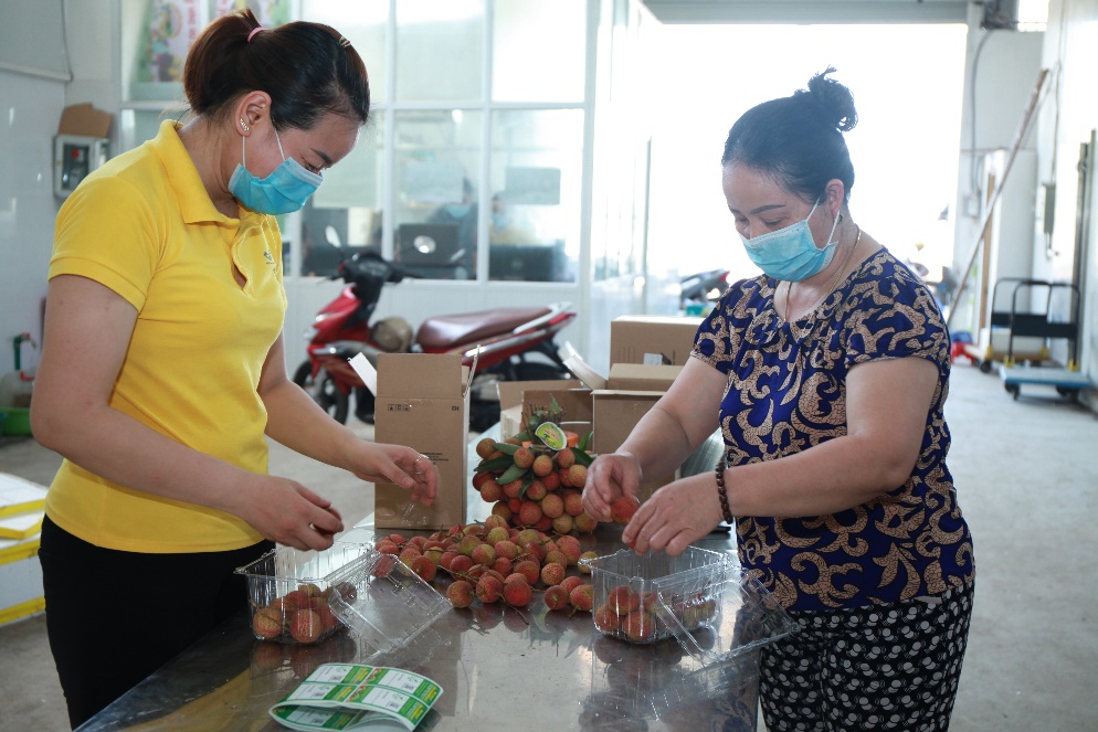 Sàn Postmart.vn - Lối ra cho nông sản Việt (bài 4): - Ảnh 3.