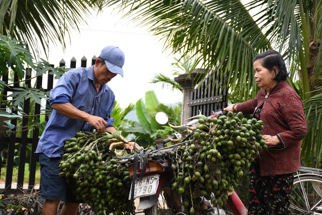 Một kg cau bằng 5 kg gạo, nông dân trúng đậm bất chấp dịch Covid-19 - Ảnh 2.