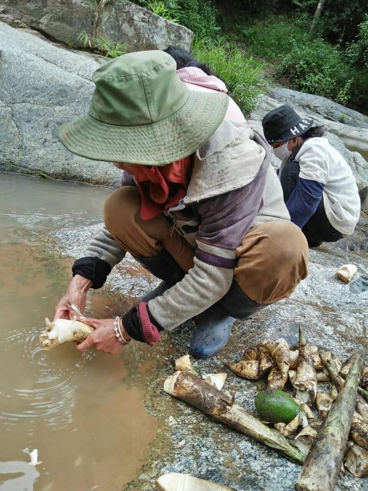 Xúc động: Người DTTS lên rừng hái măng, chặt chuối gửi về TP.Hồ Chí Minh chống dịch - Ảnh 3.