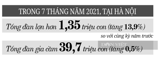 Gà, lợn, rau... dồi dào cho thị trường Hà Nội  - Ảnh 3.