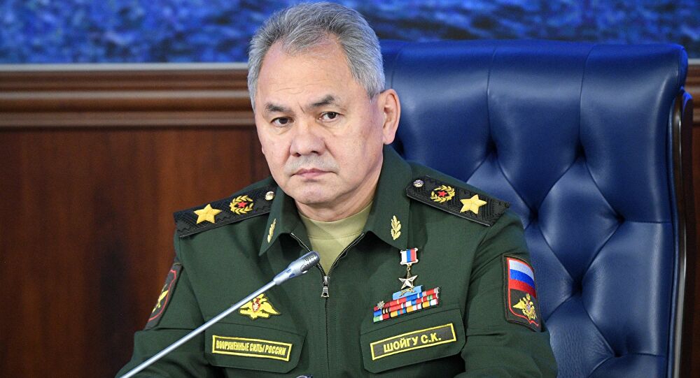 Đại tướng Shoigu tuyên bố bất ngờ về vũ khí của Taliban - Ảnh 1.