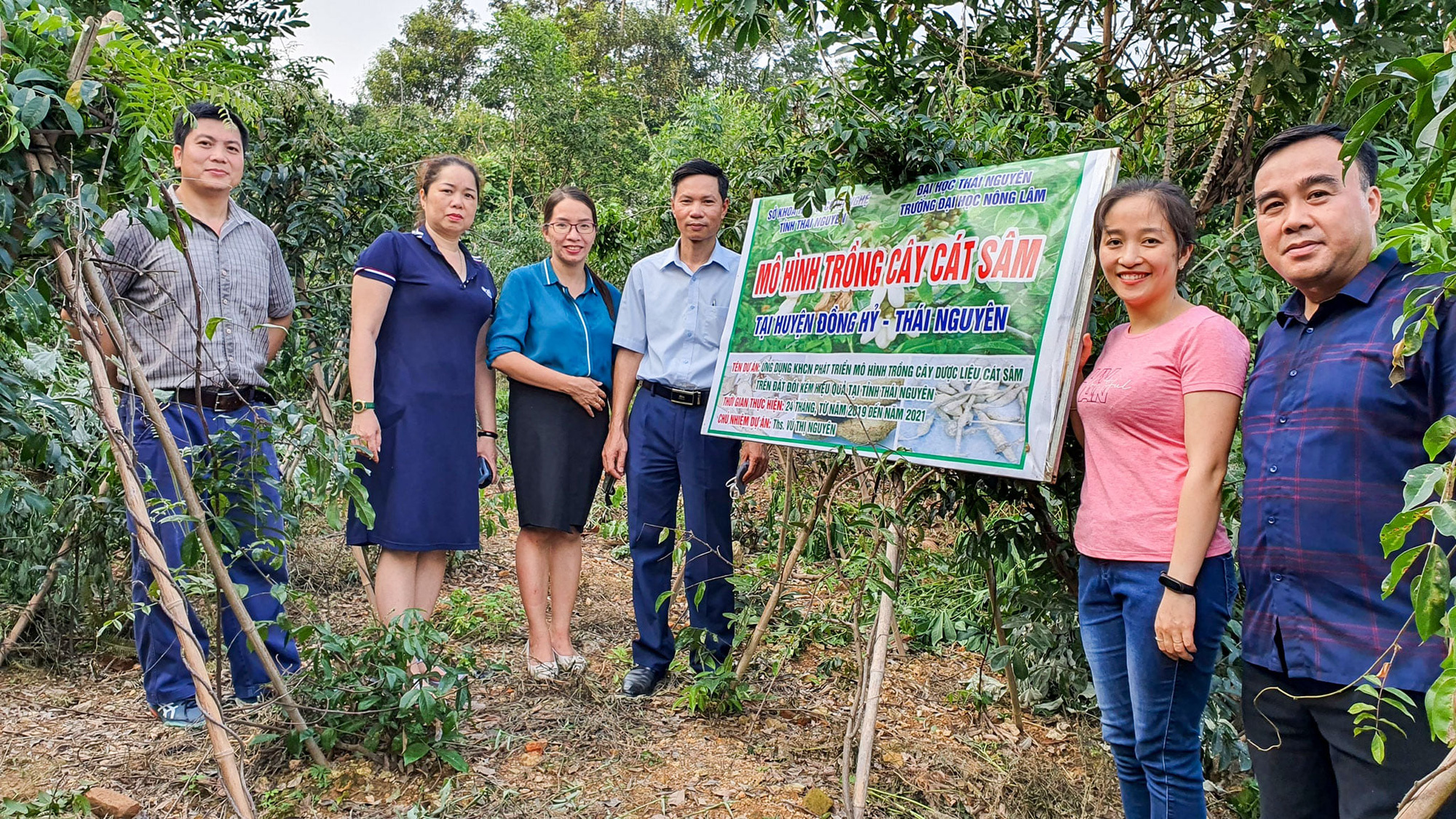 Thái Nguyên: Phát triển mô hình trồng cây dược liệu Cát sâm trên đất đồi kém hiệu quả - Ảnh 1.