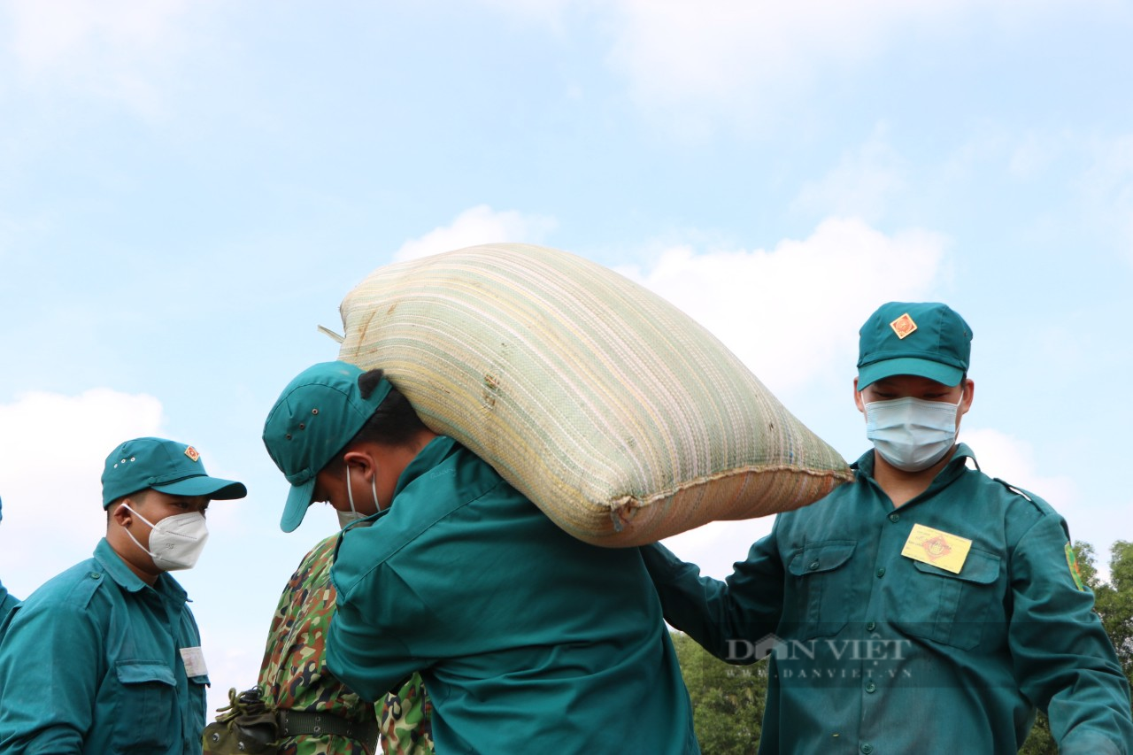 Không chỉ đi chợ hộ, bộ đội còn thu hoạch lúa giúp dân giữa mùa dịch Covid-19 - Ảnh 10.