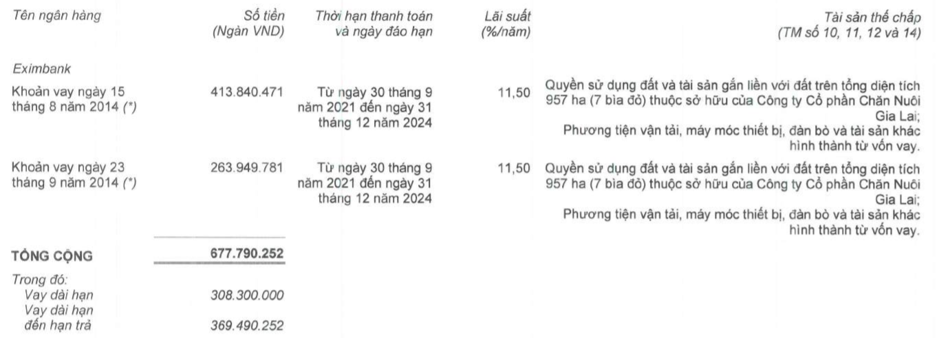 HAGL của bầu Đức thoát “mác” vi phạm cam kết vay vốn và nghi ngờ khả năng hoạt động liên tục bằng cách nào? - Ảnh 2.