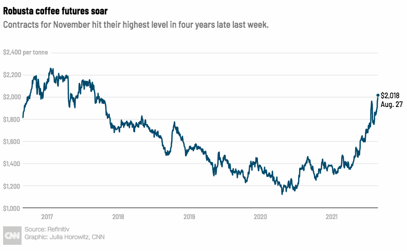 Giá cà phê toàn cầu tăng cao nhất trong 4 năm - Ảnh 1.