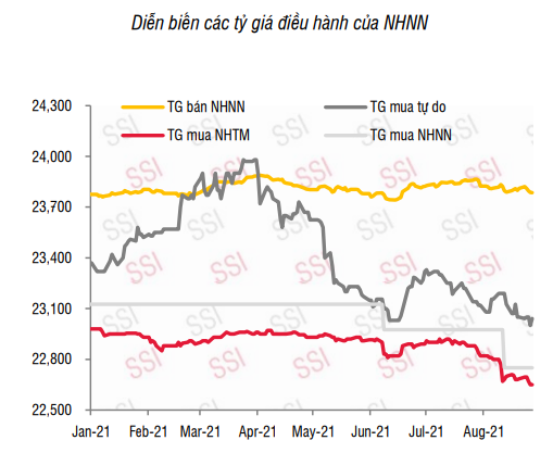 VND đã tăng giá tới 1,4%, yếu tố nào sẽ tác động mạnh tới tỷ giá thời gian tới? - Ảnh 1.