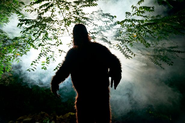 Bằng chứng về sự xuất hiện của Bigfoot làm dấy lên nhiều tranh cãi - Ảnh 2.