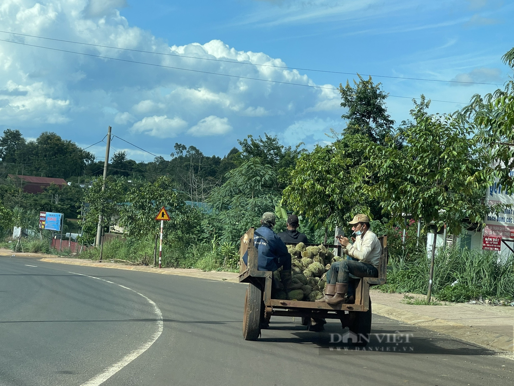 Đắk Lắk: Vựa sầu riêng lớn nhất Tây Nguyên tìm đầu ra cho sản phẩm giữa dịch Covid-19 - Ảnh 1.