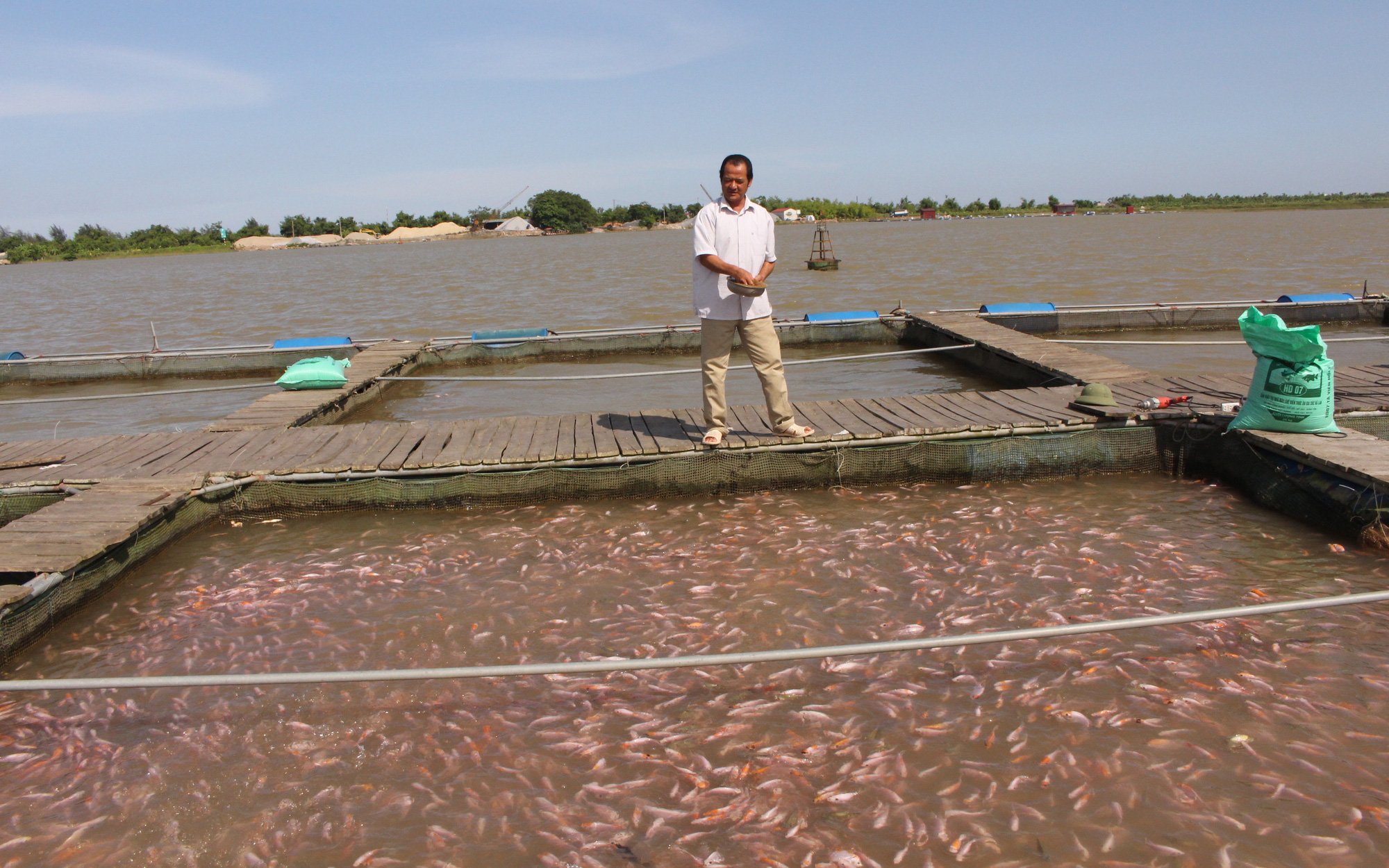 Nuôi cá đặc sản to bự, càng nuôi càng lỗ, một &quot;Nông dân Việt Nam xuất sắc&quot; tỉnh Thái Bình lên tiếng