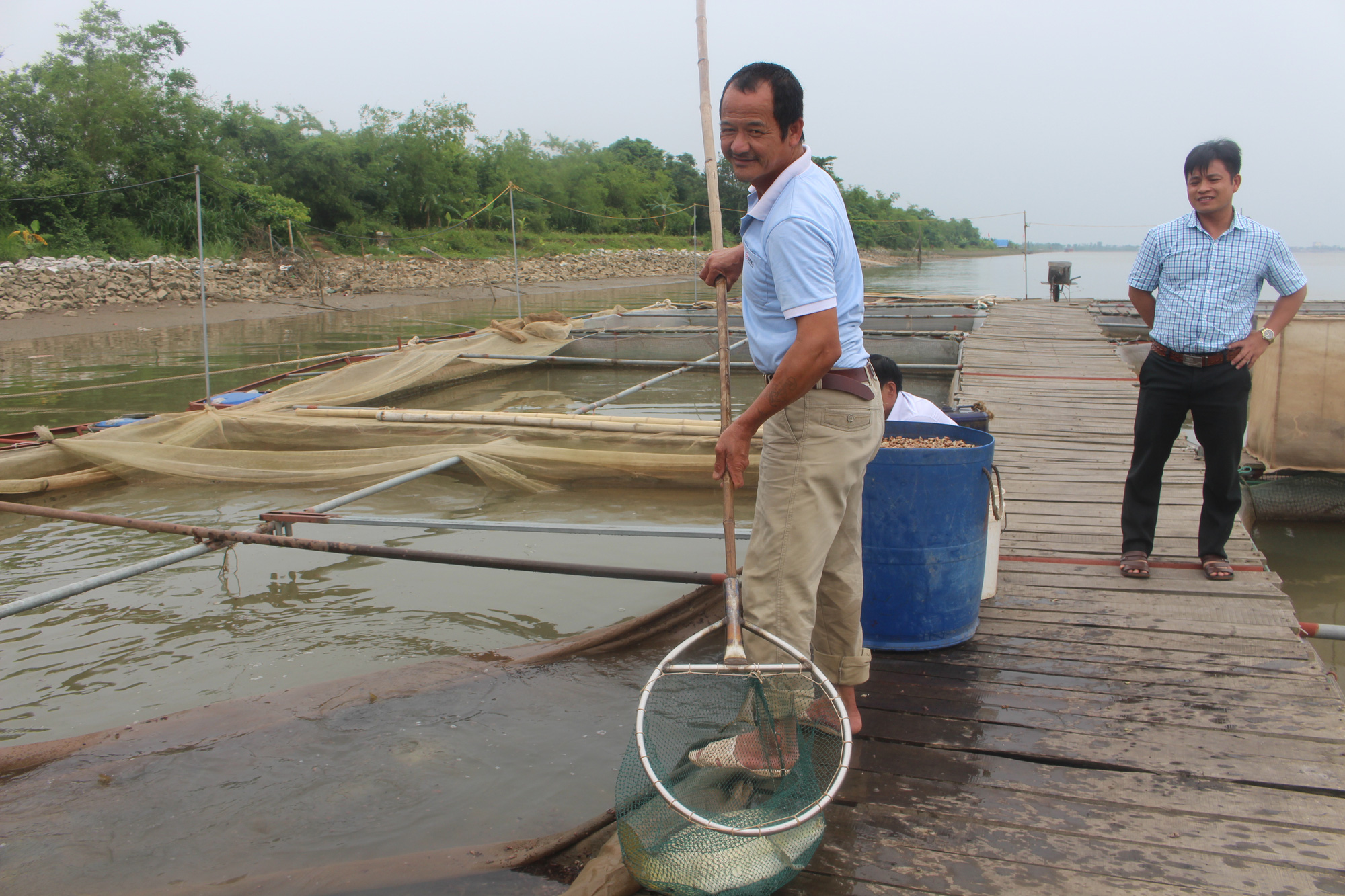 Thái Bình: Nuôi cá đặc sản to bự, càng nuôi càng lỗ, nông dân mong mỏi điều này - Ảnh 2.