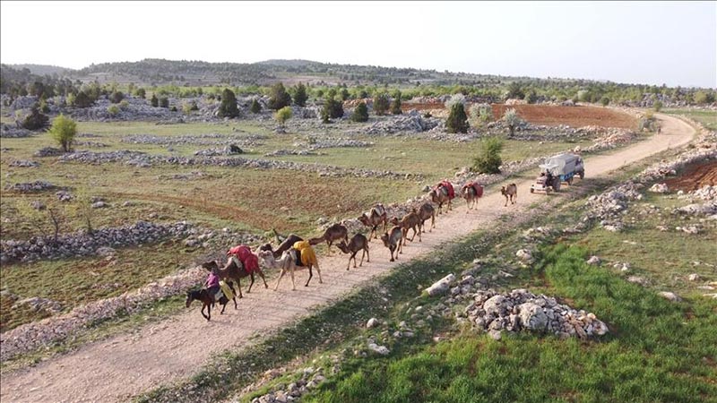 Thổ Nhĩ Kỳ: Tour trải nghiệm cuộc sống của bộ lạc cuối cùng duy trì lối sống du mục thời 4.0 hút khách - Ảnh 1.