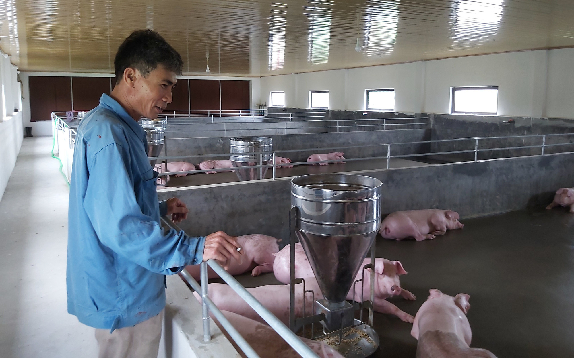 Thái Bình: Đưa thức ăn chăn nuôi vào danh sách hàng bình ổn giá sẽ có nhiều cái lợi