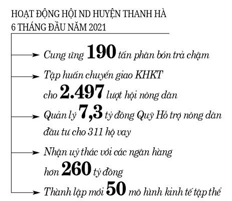 Hội giúp sức, Thanh Hà có nhiều triệu phú nông dân  - Ảnh 3.