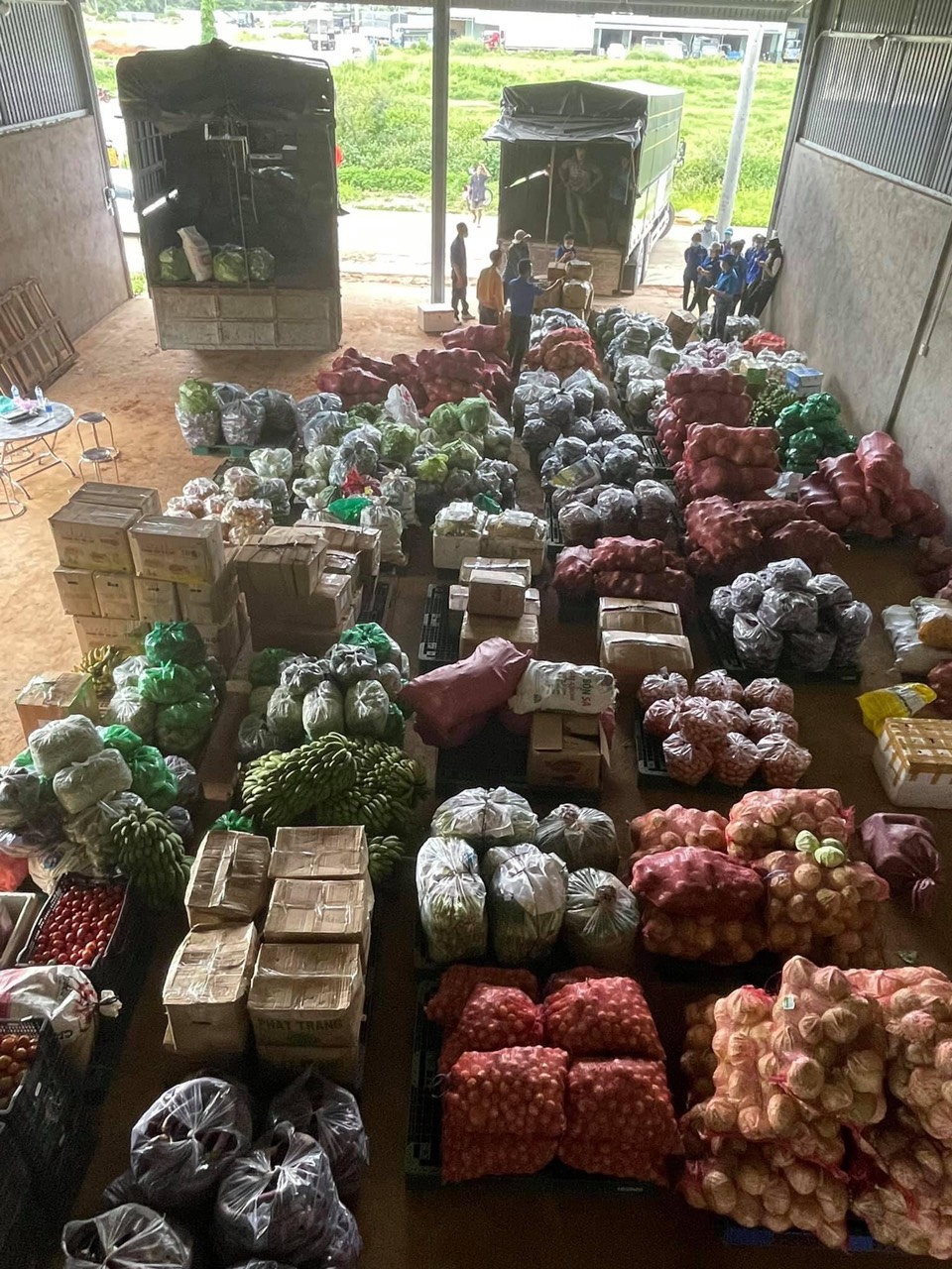 Hội nông dân tỉnh Lâm Đồng: Gửi tới vùng dịch Covid-19 gần 300 tấn “rau yêu thương” - Ảnh 4.