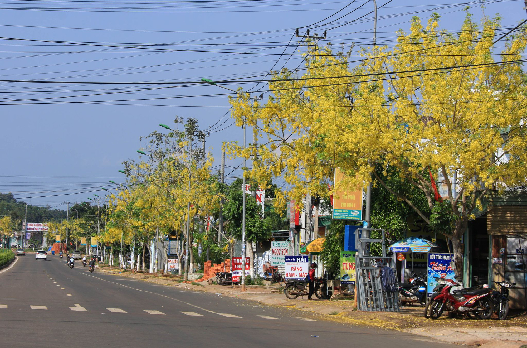 Thành phố Gia Nghĩa: Đẩy mạnh chuyển dịch cơ cấu kinh tế để phát triển bền vững - Ảnh 1.