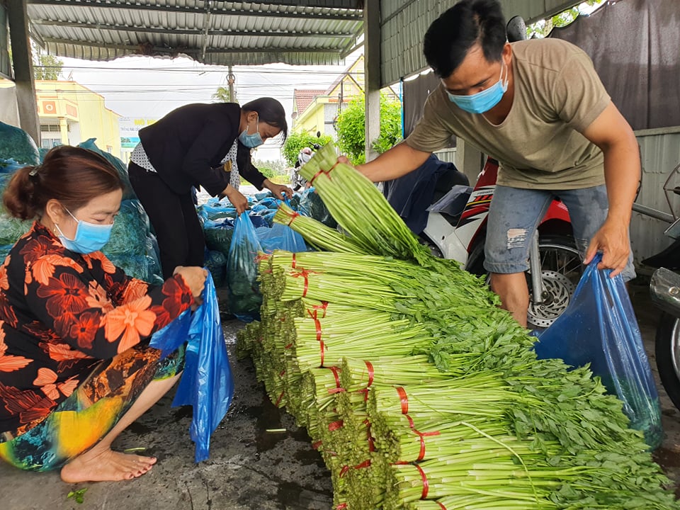 Bạc Liêu: Nông dân chung tay chống dịch Covid-19 - Ảnh 2.