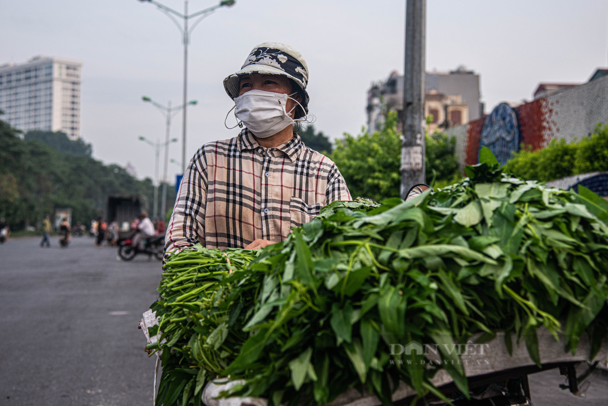 Hà Nội: Người dân trồng rau ở bãi giữa sông Hồng loay hoay trong trong những ngày giãn cách xã hội - Ảnh 12.