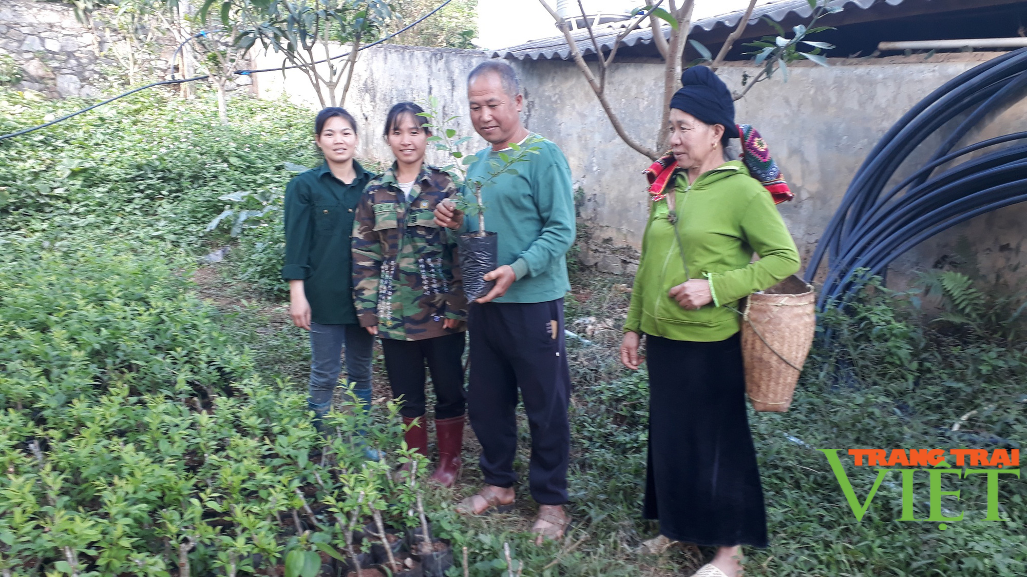 Tỷ phú đầu tiên của người Sinh Mun trên đất Phiêng Khoài - Ảnh 1.