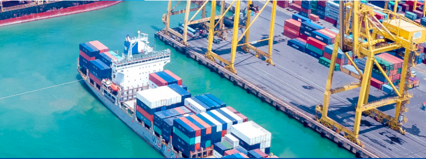 Đề xuất giảm phí, lệ phí với hàng hoá lưu thông qua cảng biển - Ảnh 1.