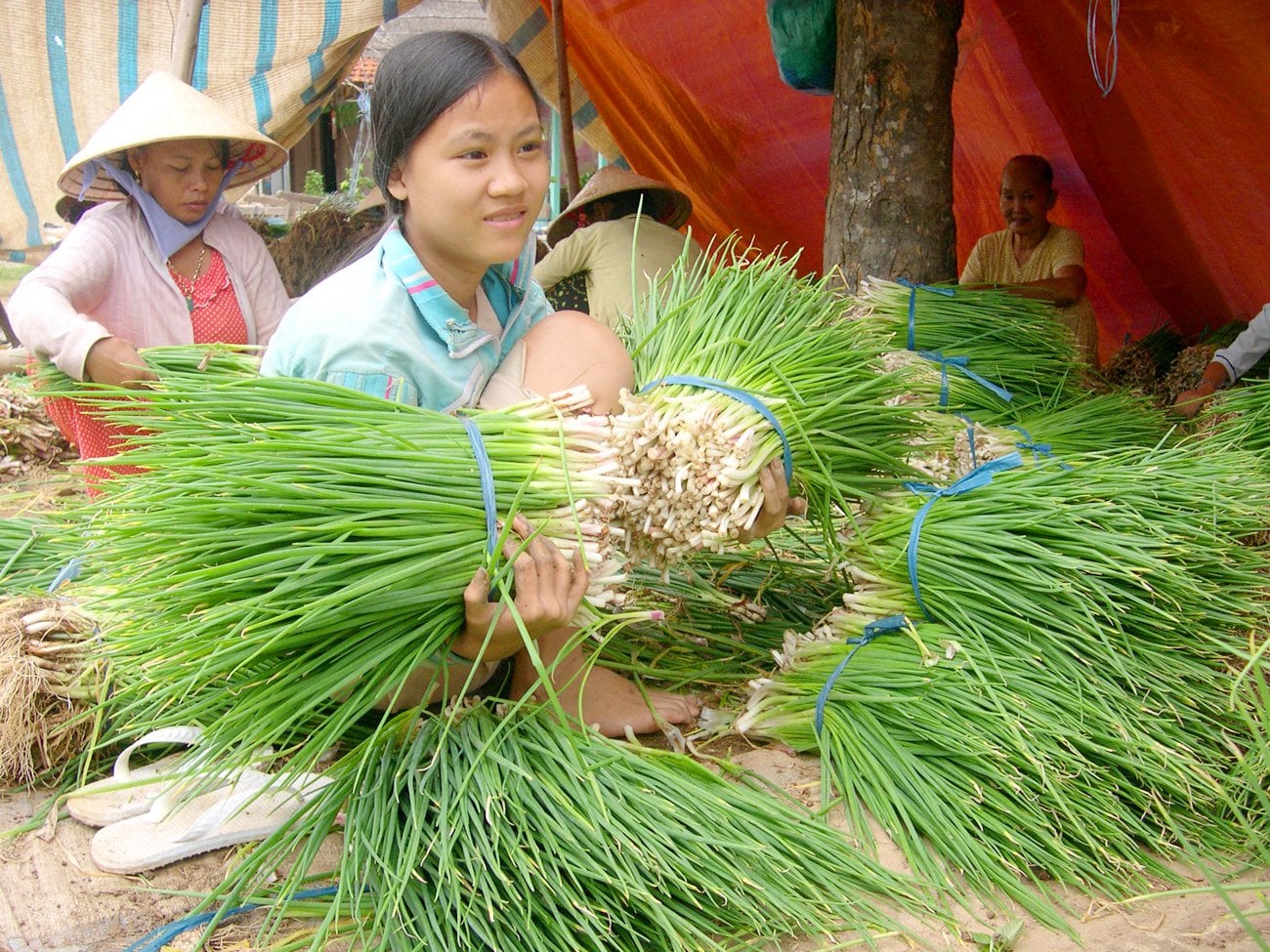 Doanh nghiệp kêu cứu vì thiếu hành lá, gia vị làm mì tôm, Tổ công tác 970 vào cuộc - Ảnh 2.