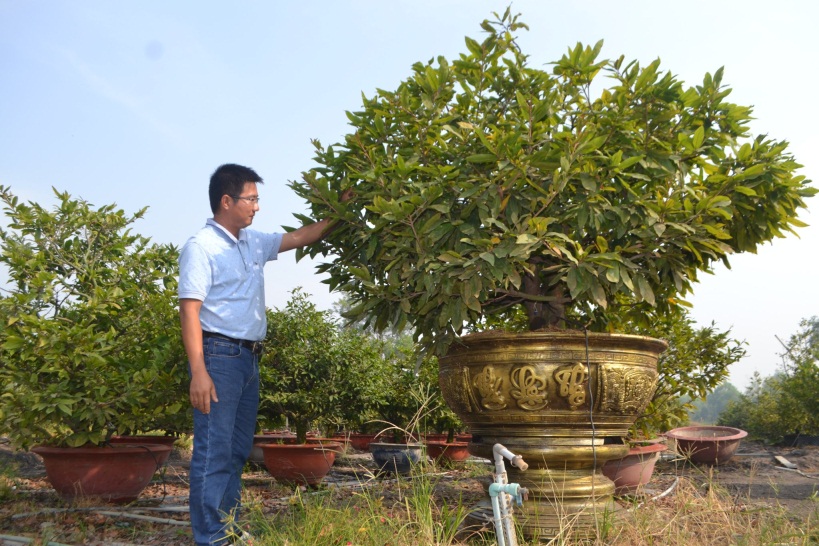 Bình Dương: Tỷ phú trồng mai vàng công nghệ cao trong làng cây kiểng Đông Nam bộ - Ảnh 1.