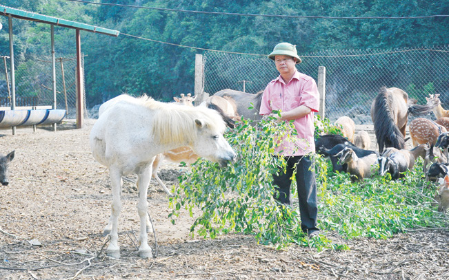 Ninh Bình: Nuôi con đặc sản la liệt thời dịch Covid-19, may không bị "chết lâm sàng", nhưng tôi muốn nói điều này