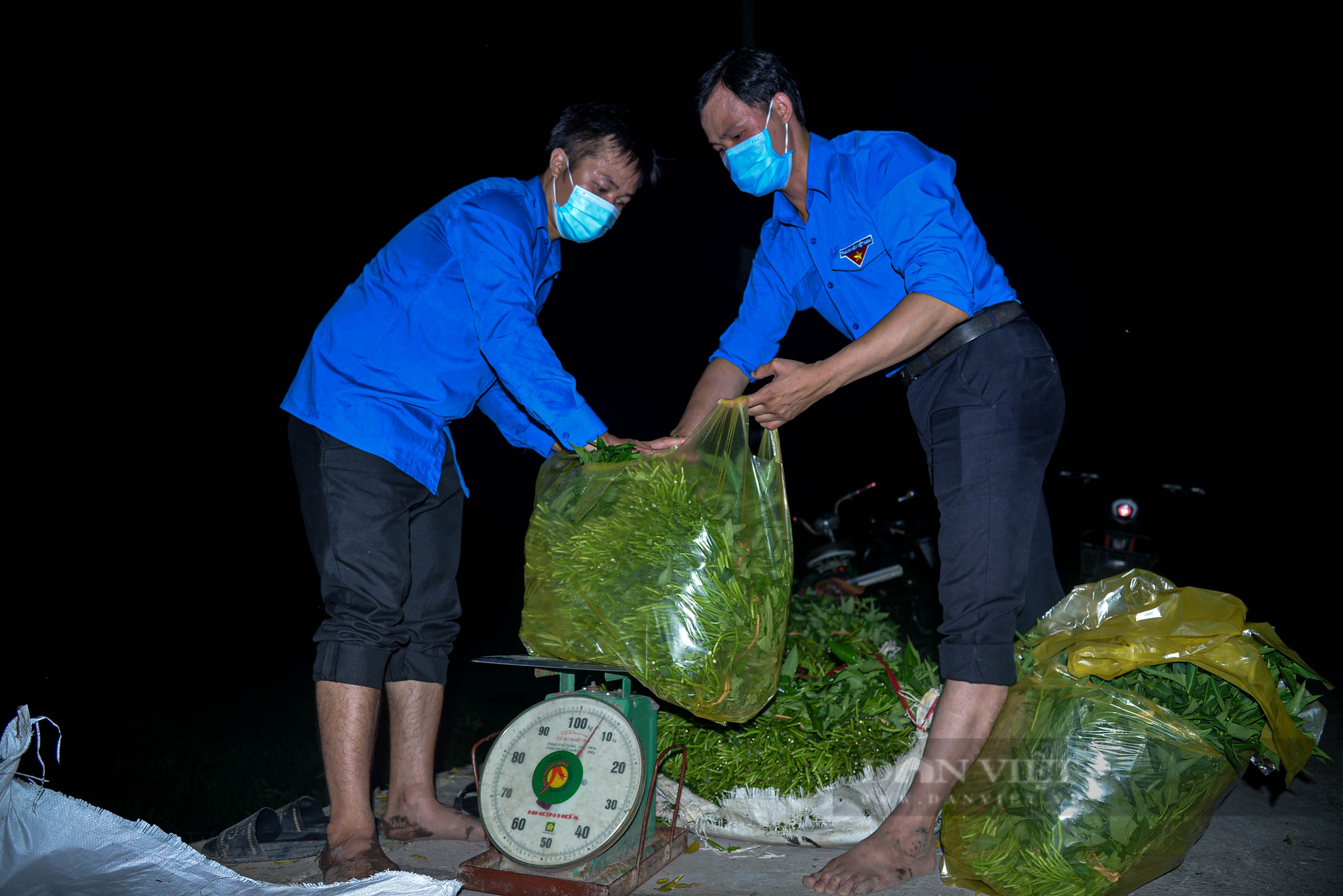 Hà Nội: Đội hình áo xanh chong đèn xuyên đêm giúp bà con thu hoạch rau  - Ảnh 6.