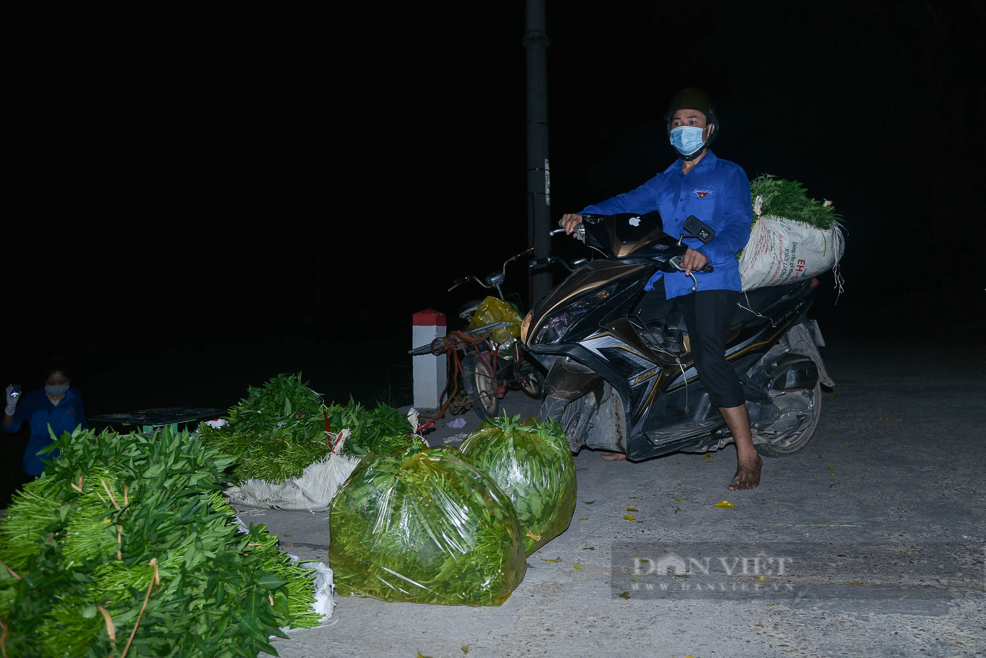 Hà Nội: Đội hình áo xanh chong đèn xuyên đêm giúp bà con thu hoạch rau  - Ảnh 7.