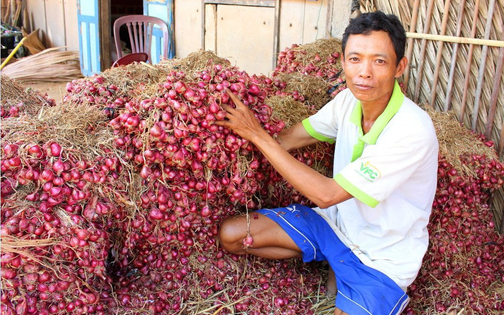 Kéo dài “cánh tay” kết nối, tiêu thụ nông sản (bài 4): “Cứu” chuỗi cung ứng bị đứt gãy