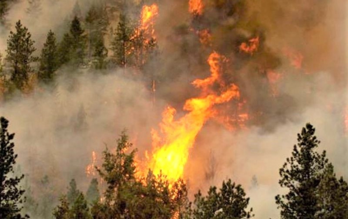 10 vụ cháy rừng tồi tệ nhất thế giới từng chứng kiến - Ảnh 1.
