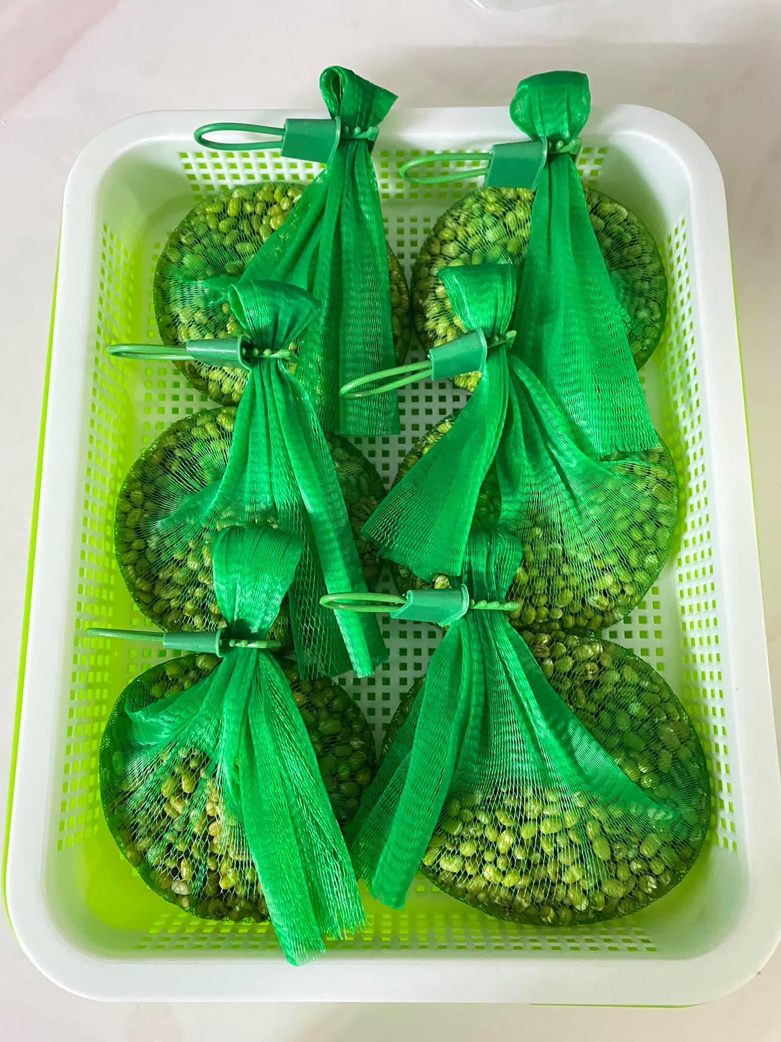 Mùa dịch, không lo thiếu rau với cách làm giá đỗ đơn giản chỉ bằng túi lưới bọc quả - Ảnh 3.