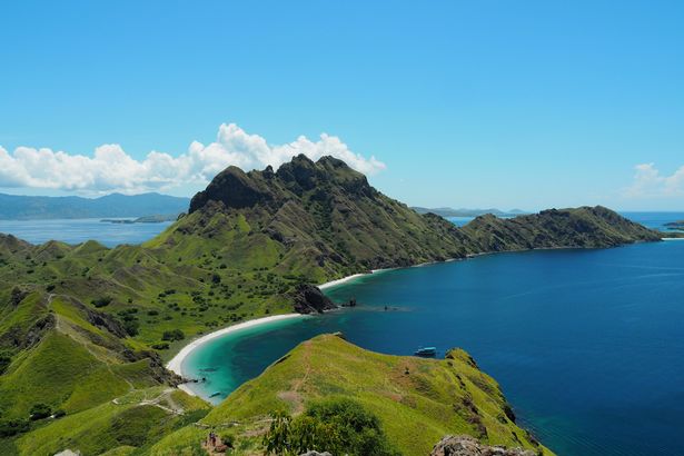 Dự án 'Công viên kỷ Jura' đang được xây dựng ở Indonesia bất chấp cảnh báo của UNESCO - Ảnh 1.