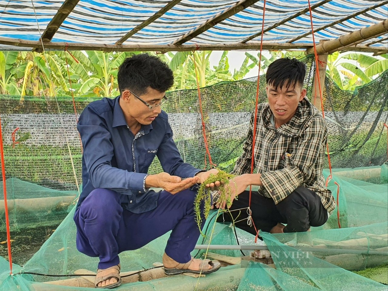 Thầy giáo cất 2 bằng đại học về nuôi con đẻ nghìn trứng, thu về cả tỷ đồng mỗi năm - Ảnh 5.