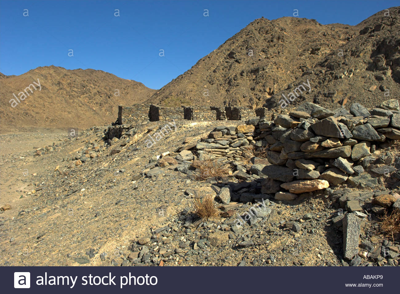 Cách bộ lạc Ababda làm du lịch tại nơi ẩn giấu những kho báu nổi tiếng thời Pharaoh - Ảnh 3.