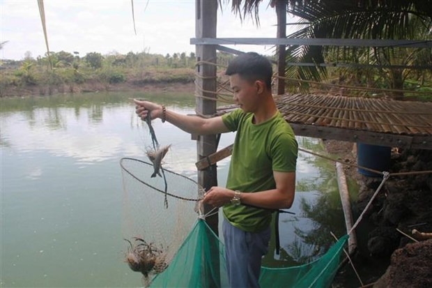 Đắk Lắk: Anh nông dân 9X mồ côi cha nuôi con gì, trồng cây gì mà có cả đoàn doanh nhân trẻ tới tham quan? - Ảnh 4.