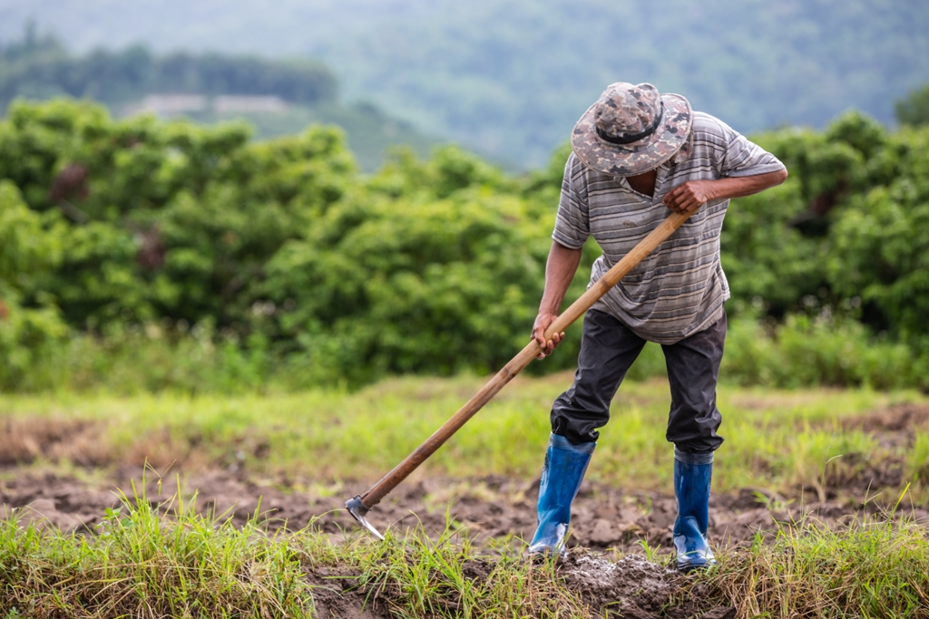 Hơn 68% nông dân ở 4 quốc gia Đông Nam Á coi biến đổi khí hậu là thách thức với sản xuất lương thực - Ảnh 1.