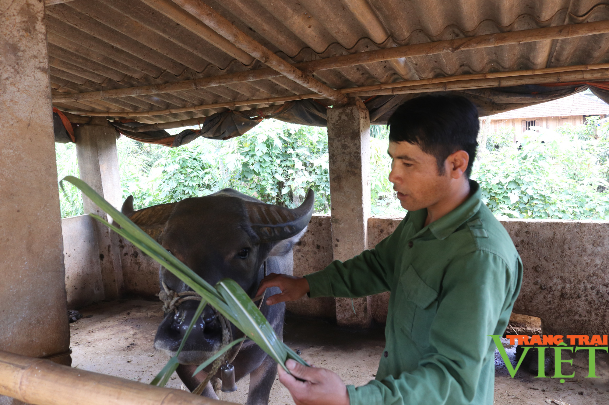 Nông dân Cò Nòi thi đua sản xuất, kinh doanh giỏi - Ảnh 3.